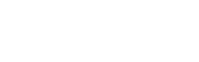 VLIRTZ